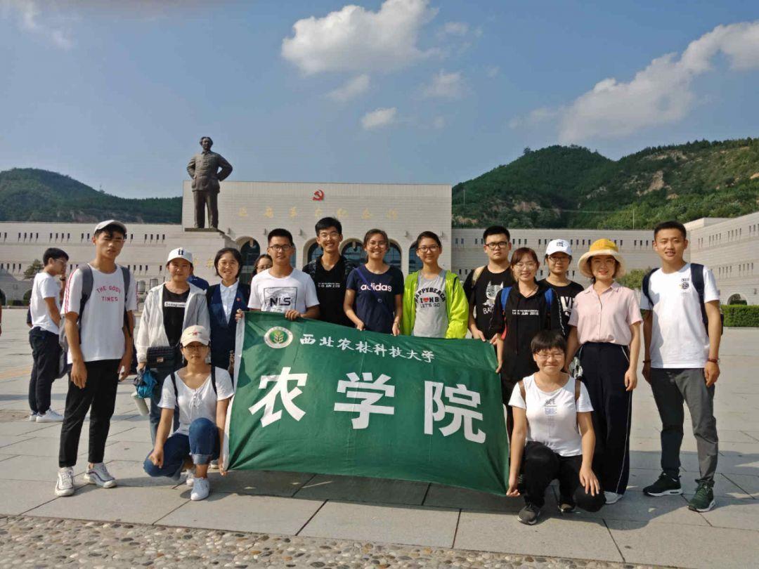 杨紫新剧依旧很能打，但这几点尴尬了